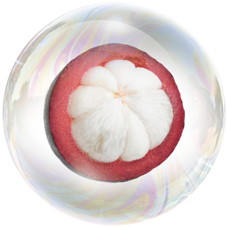 Mangosteen fruit (Garcinia mangostana) **  